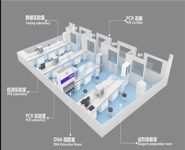 pcr實(shí)驗(yàn)室建設(shè)多少錢?